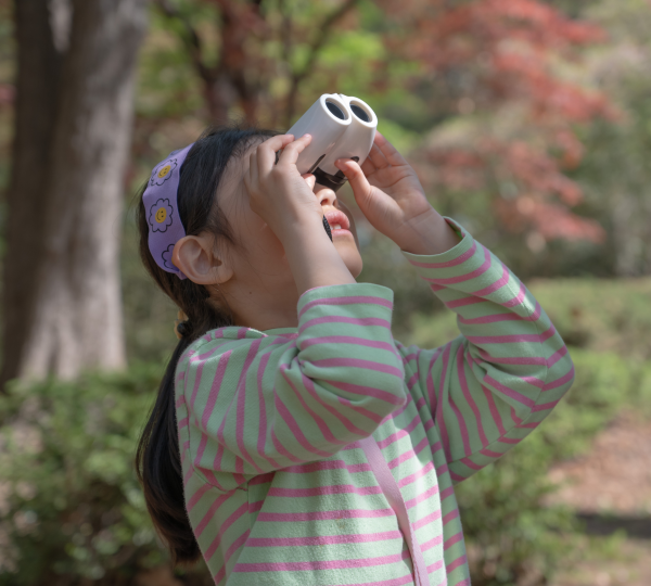 짹짹, 산책가방