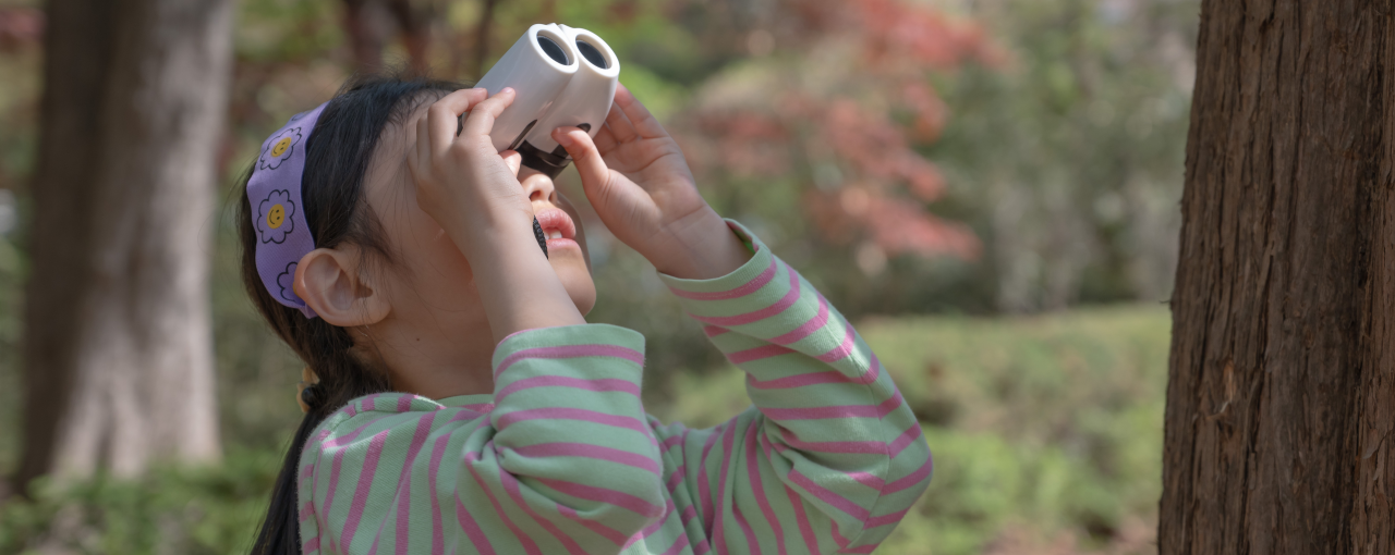 짹짹, 산책가방